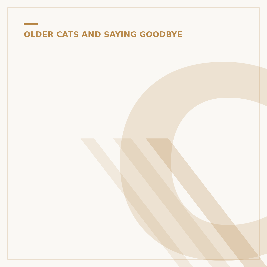 Cat Old Age Death Symptoms: What to Look For