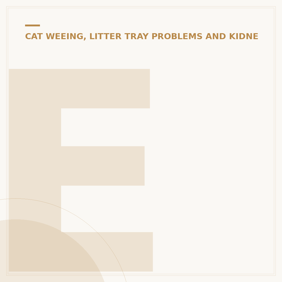 Effective Cat Pee Cleaner: Remove Stains & Odour