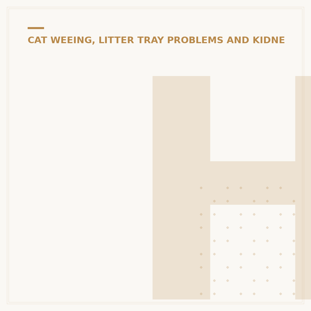 How Many Times a Day Should a Cat Pee?