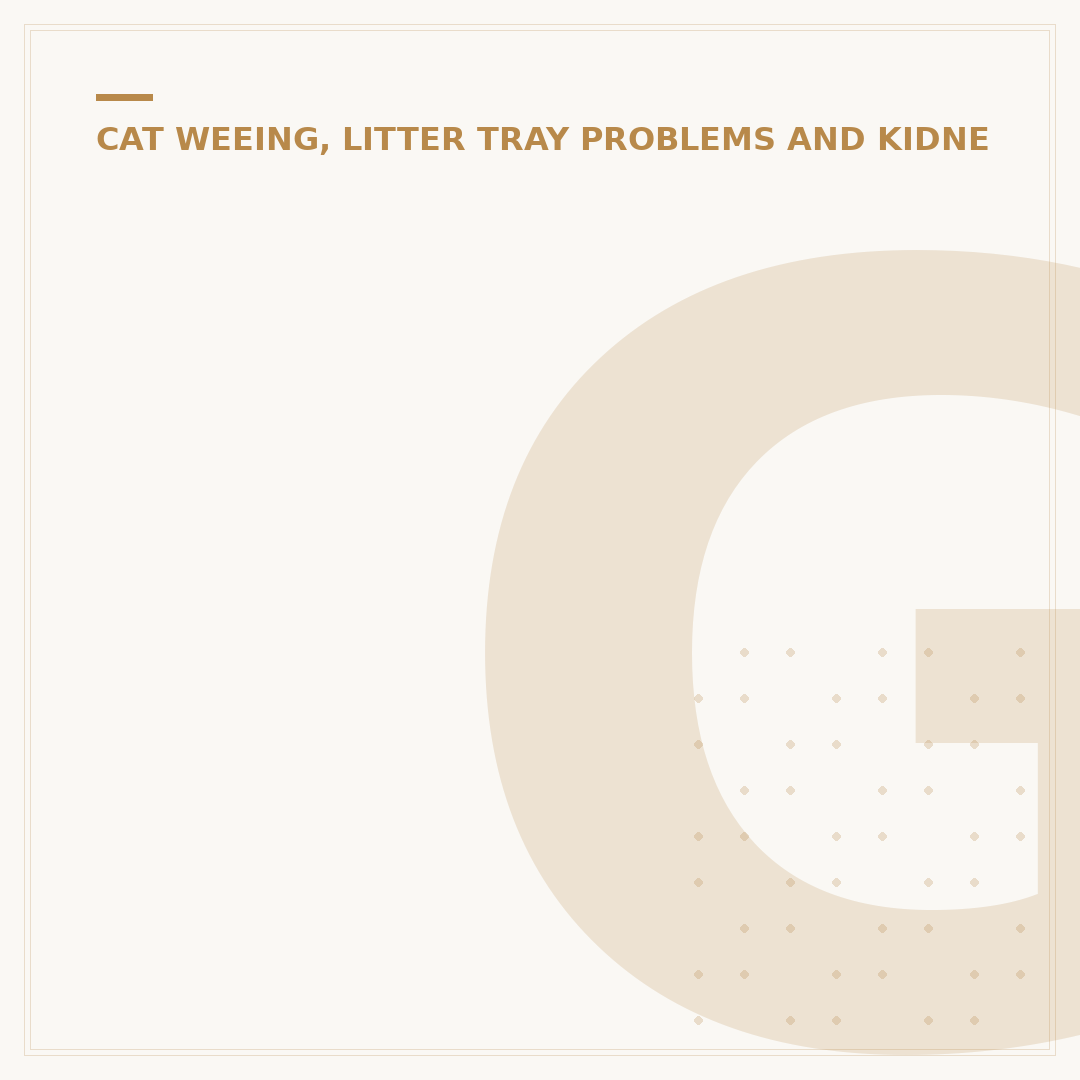 Getting Rid of the Smell of Cat Pee: Effective Solutions