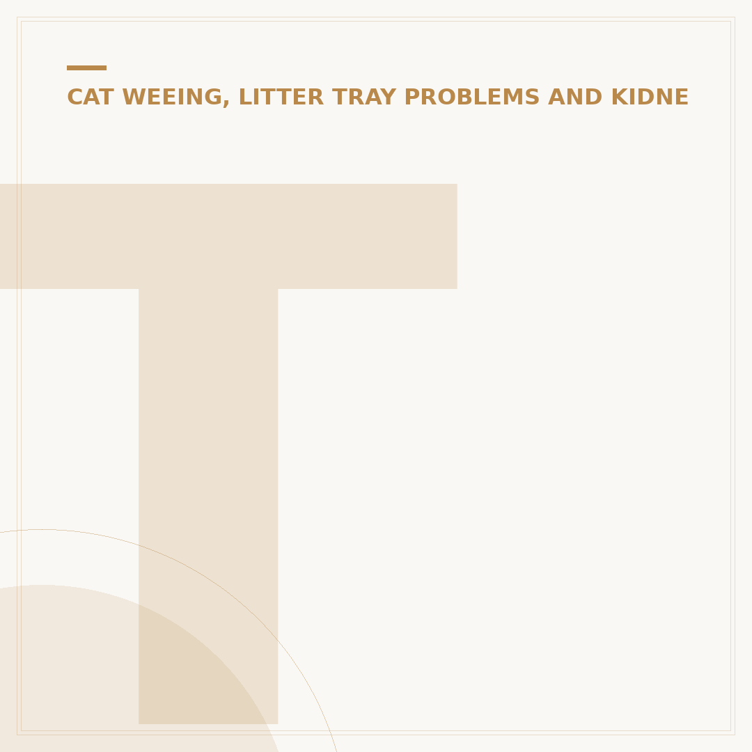 Tackle a Cat Pee Strong Smell: Removal and Prevention