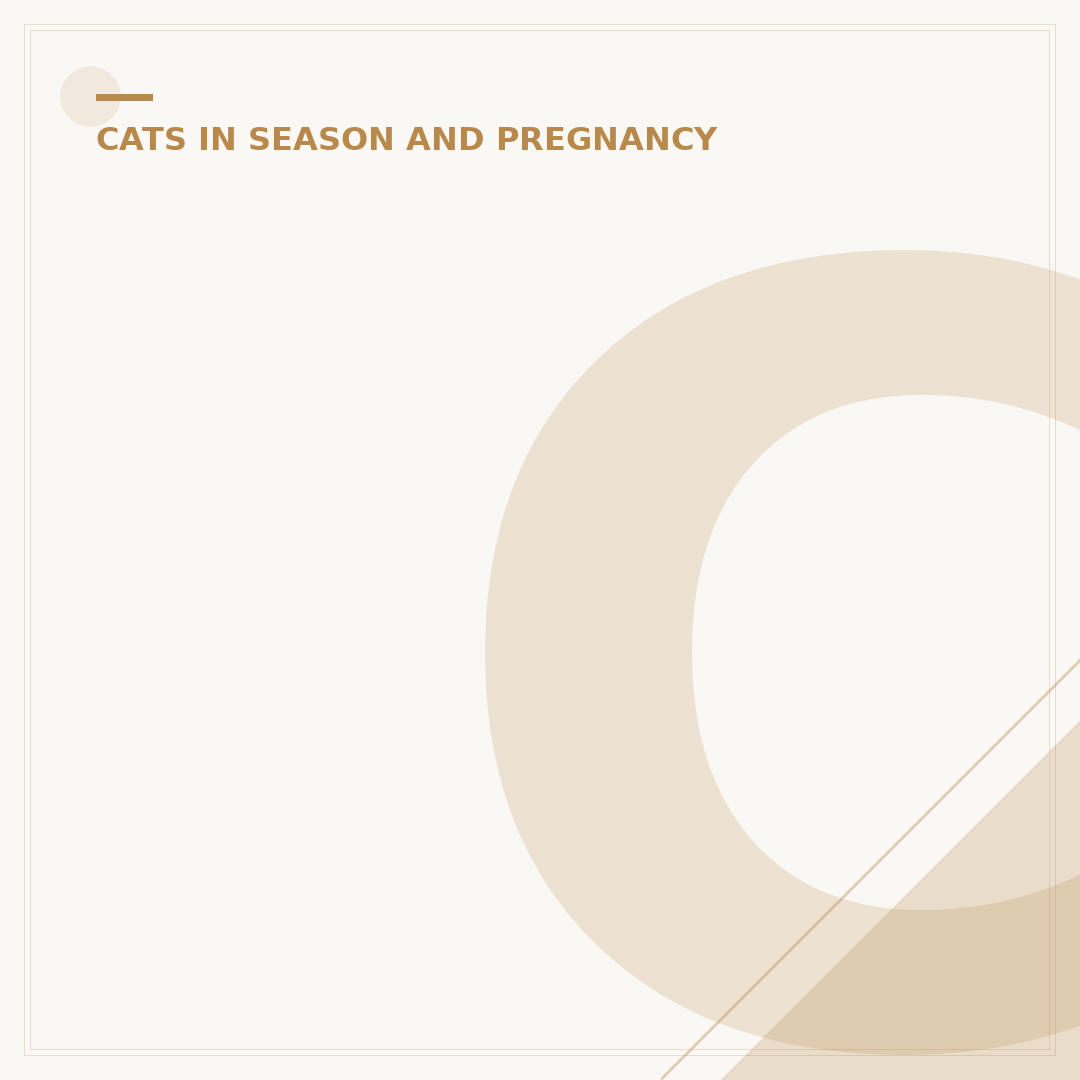 Cat Pregnancy Test: How To Know If Your Cat Is Pregnant