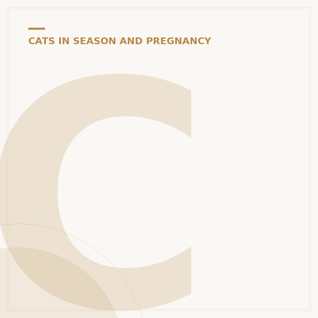 Cat Pregnancy Time: How Long Does it Last?