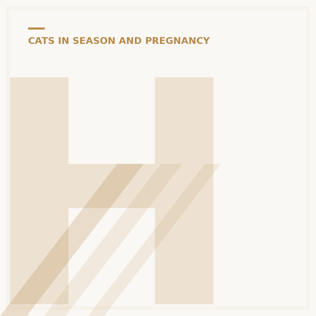 How to Know If a Cat Is Pregnant: Signs and Checks