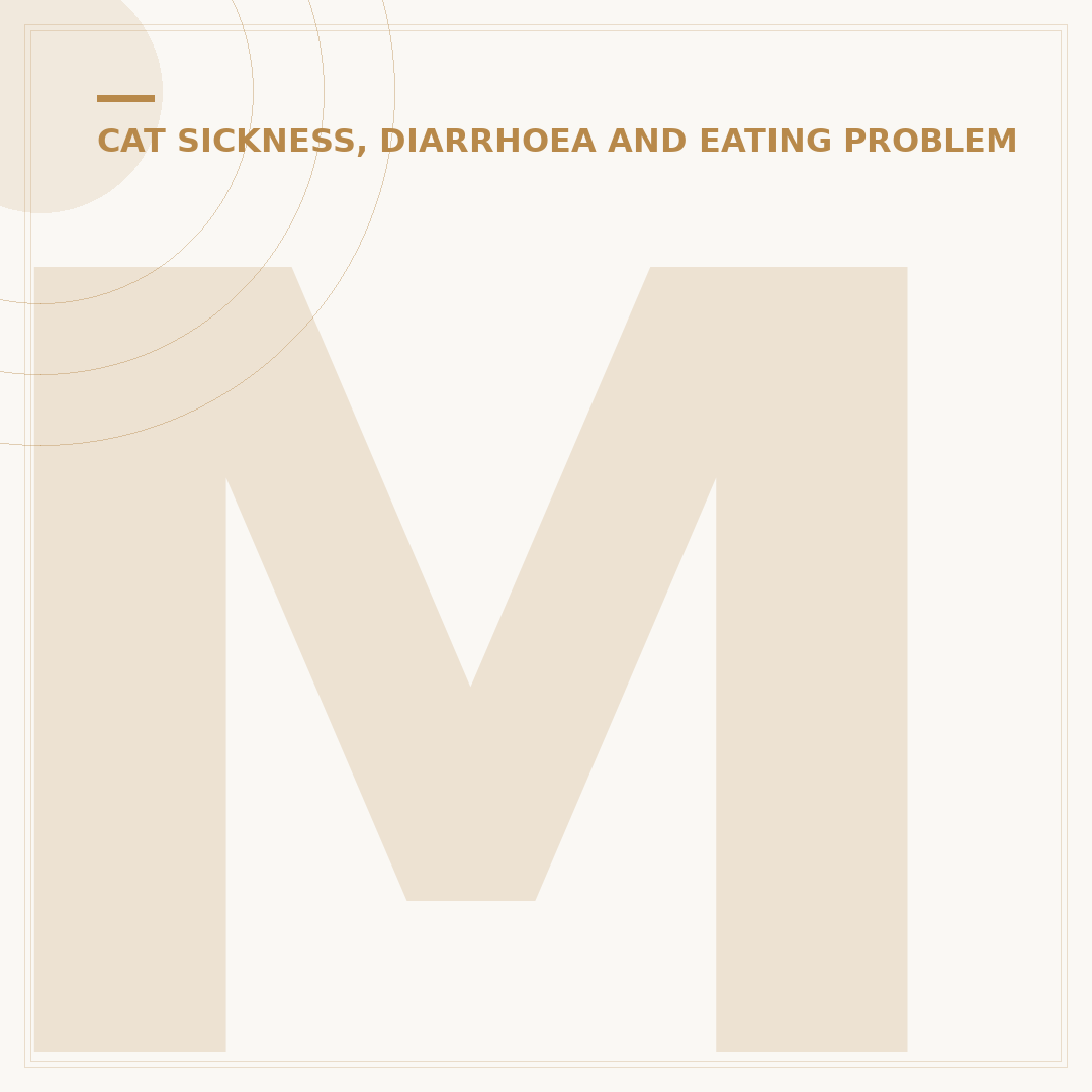 My Cat Has Runny Poop All The Time: What To Check