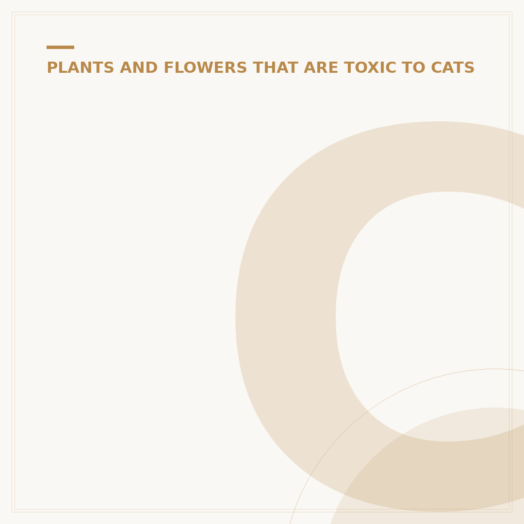 Cat Safe Garden