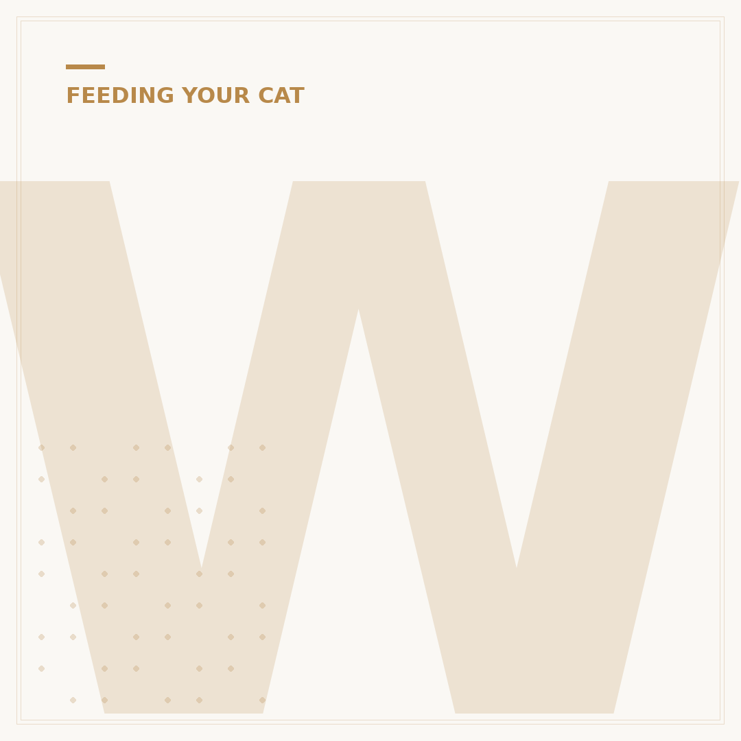 Why Does My Cat Scrape The Floor After Eating?