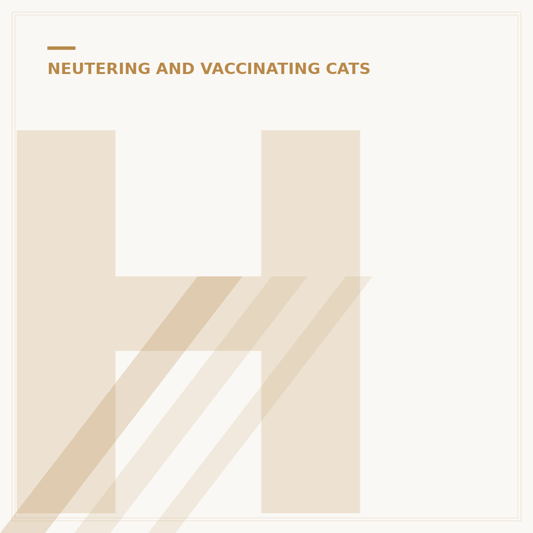 How Soon After Having Kittens Can a Cat Be Spayed?
