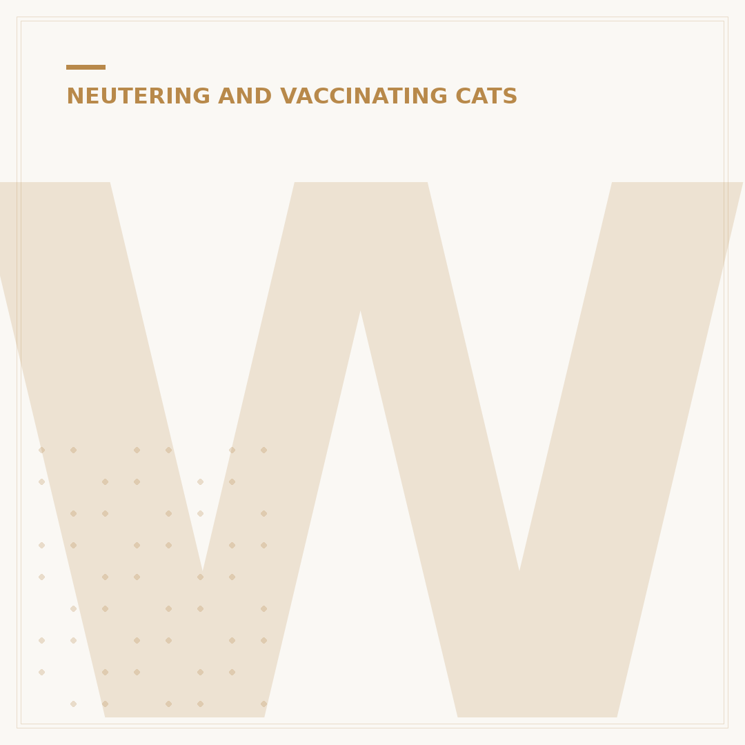 When Can I Get My Cat Spayed After Having Kittens?