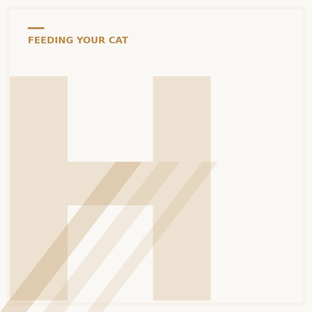How Long Can A Cat Survive Without Food?