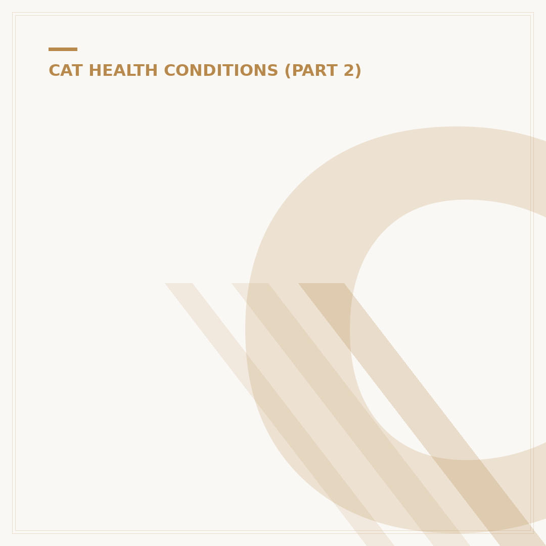 Cat Tail Plug: What It Is and What to Look For