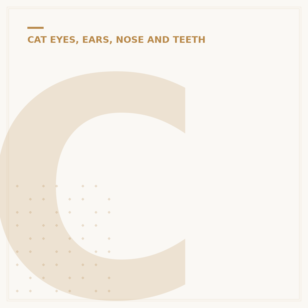 Cat Teeth Cleaning Treats