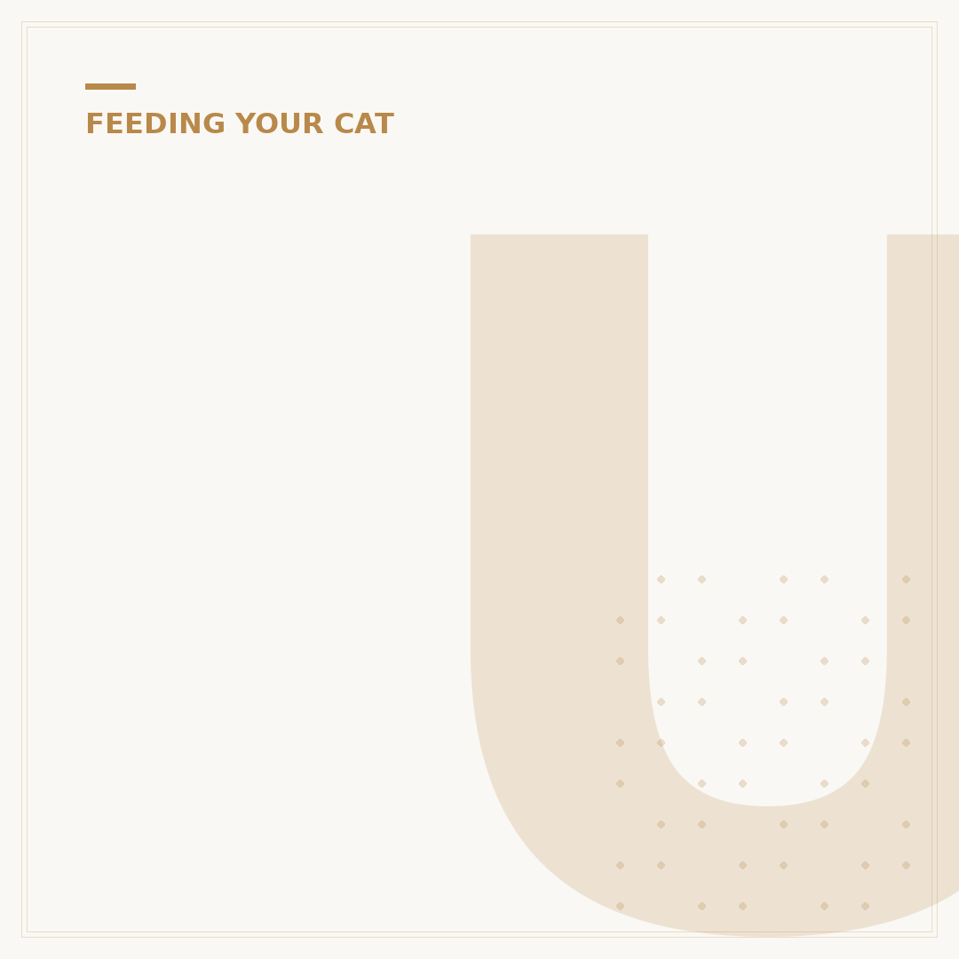 Understanding Cat Treats: What They Are and How to Choose
