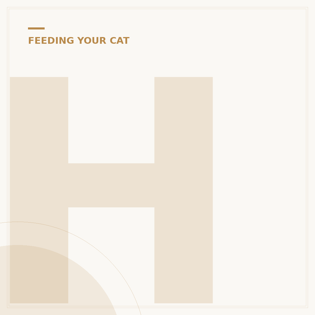 How Long Can A Cat Go Without Water?