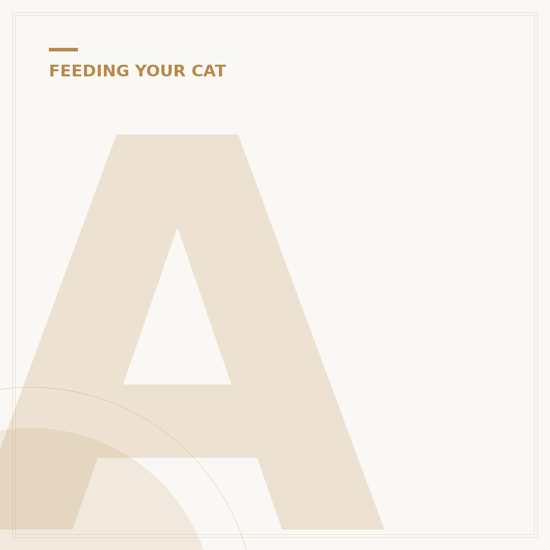 Are Cats Allowed Bread? Safety, Risks, and Alternatives