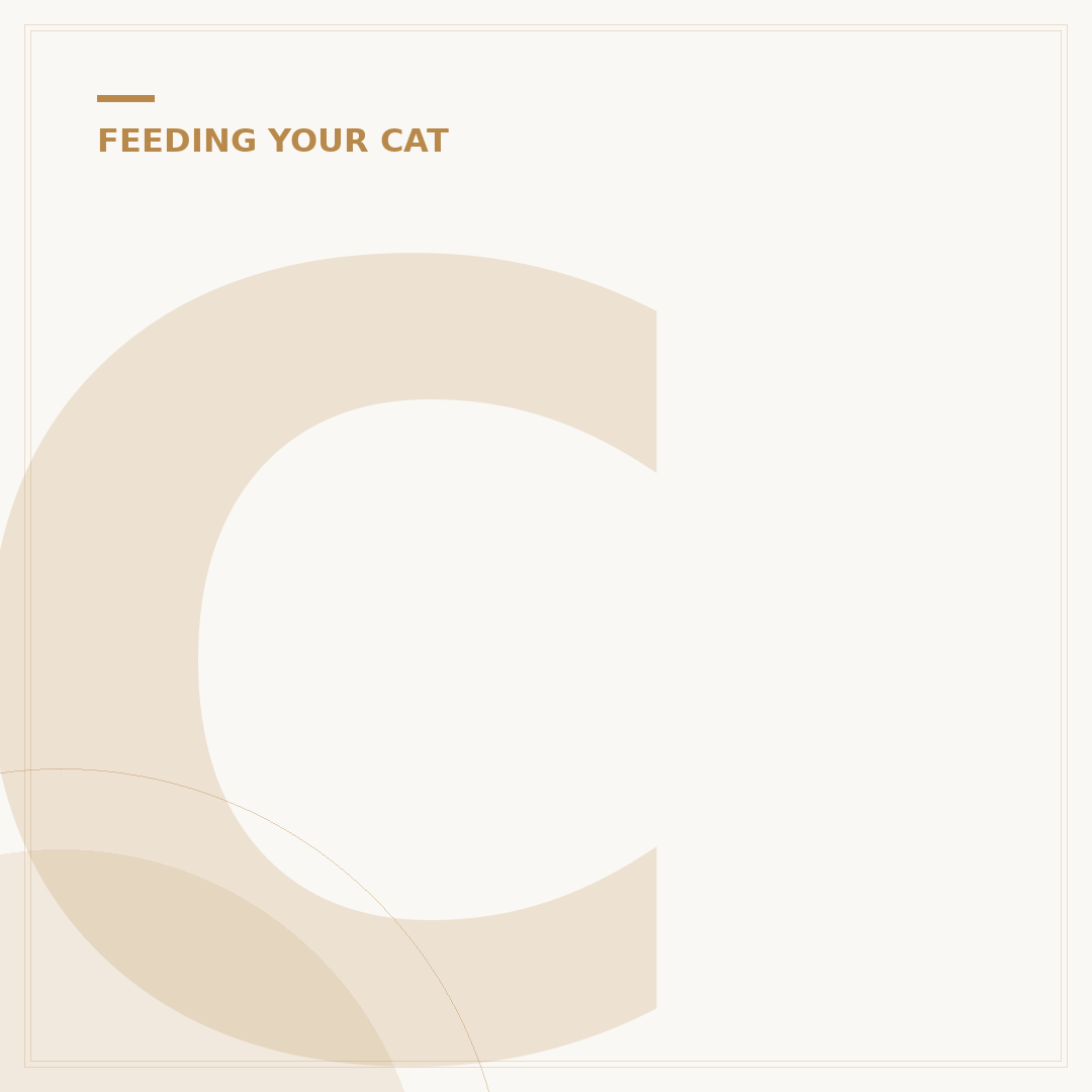 Can Cats Get Chicken Pox?