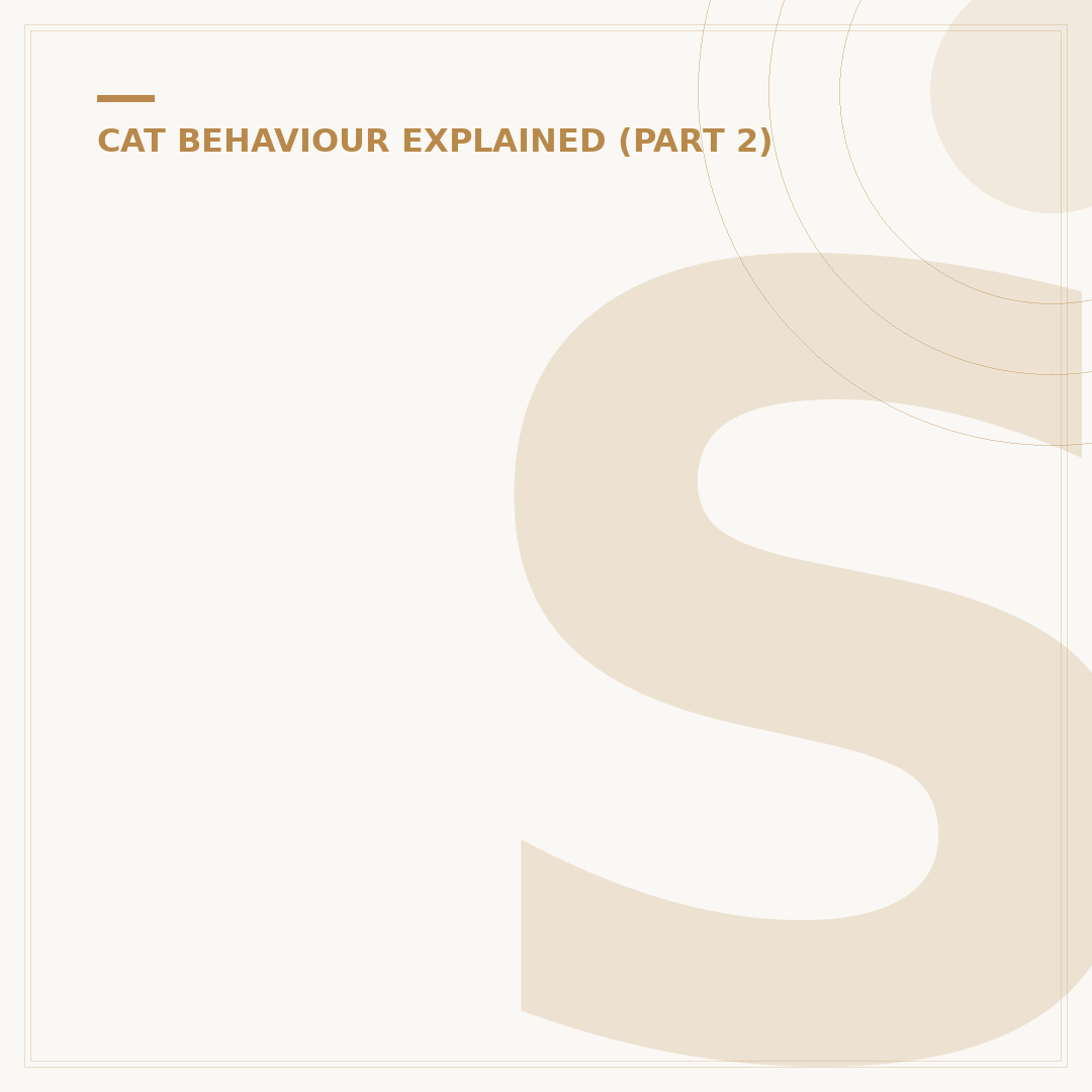 Seeing Cats in Dreams in Islam: Meanings and Interpretations