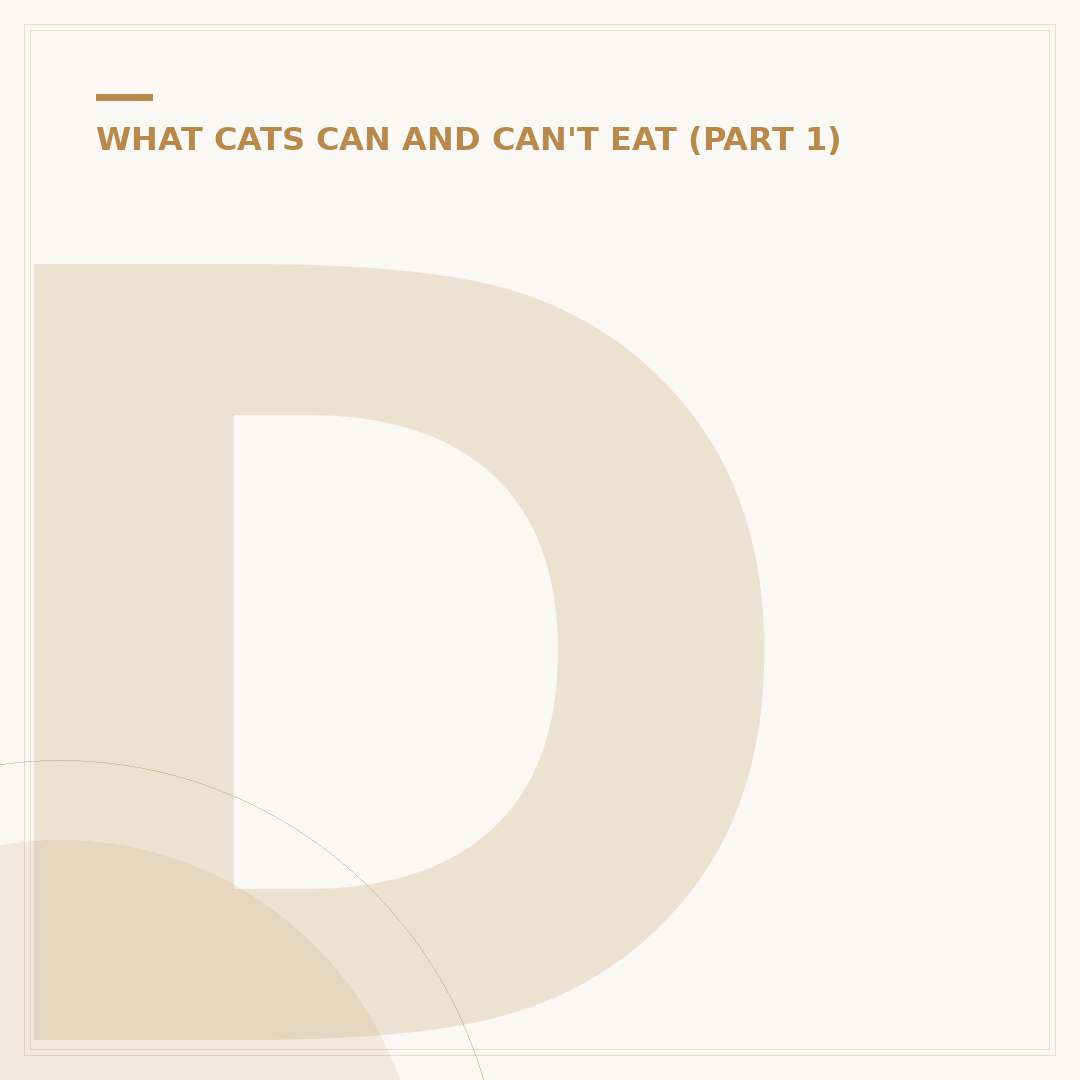 Do Cats Eat Spiders? Why They Might & What to Do