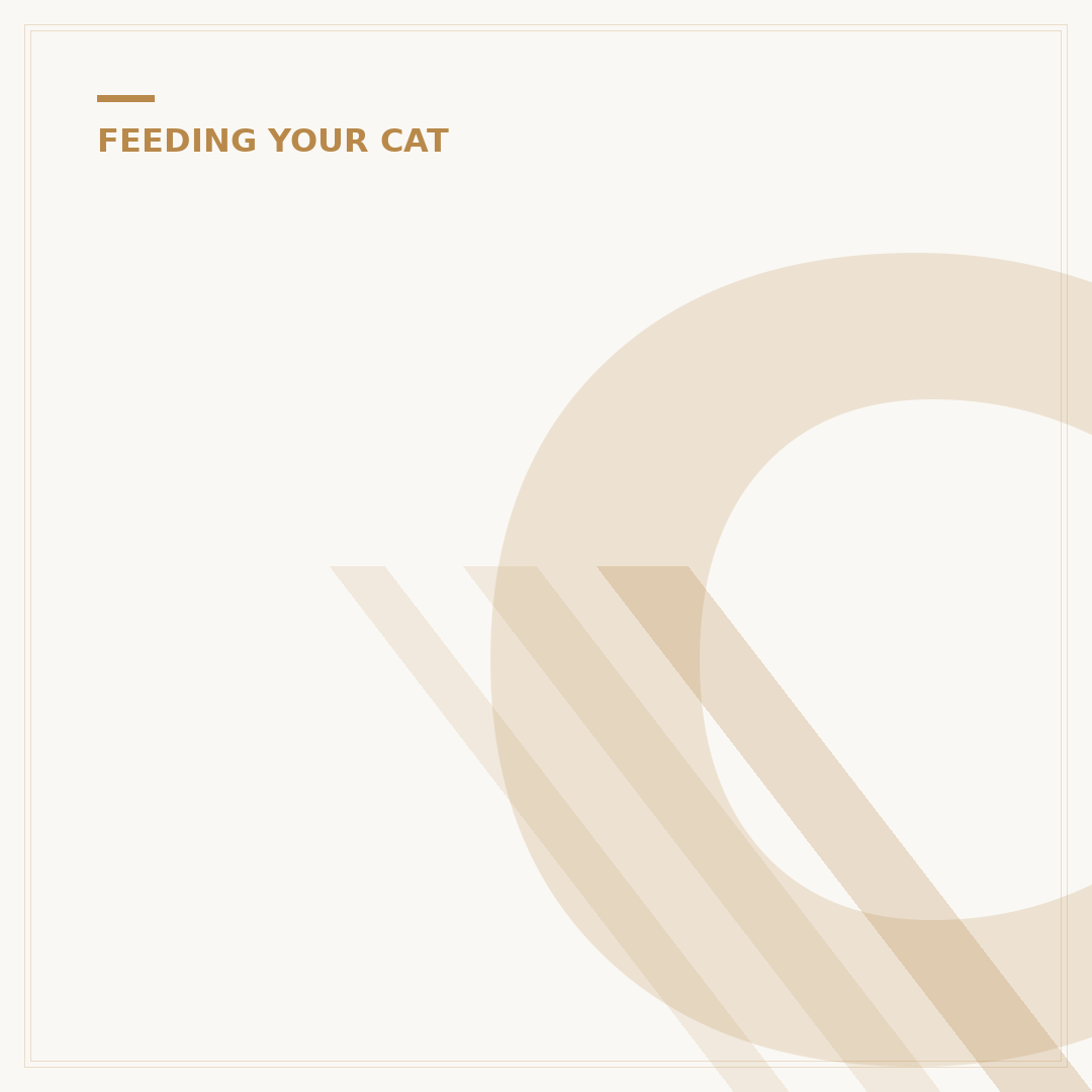 Cat Food