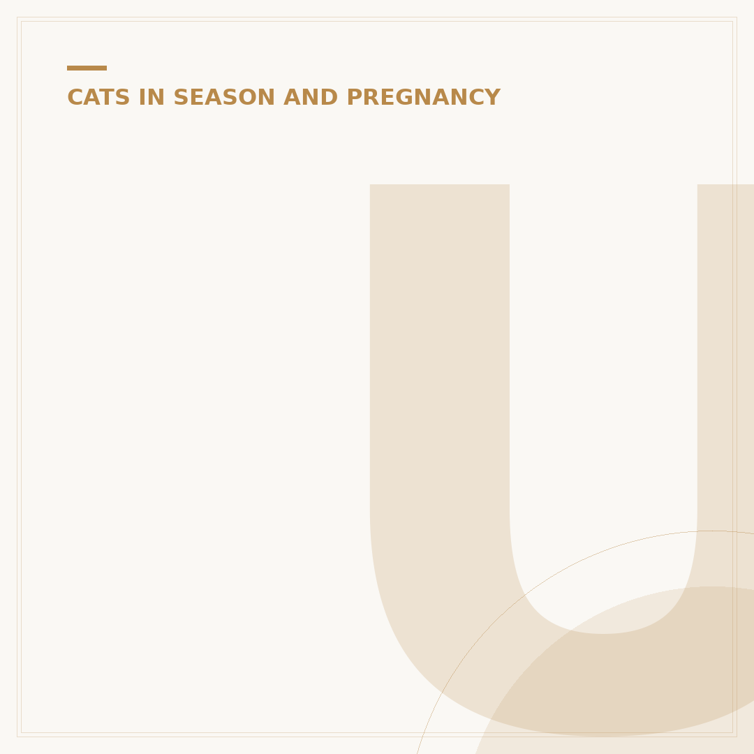 Understanding the Cats in Heat Cycle