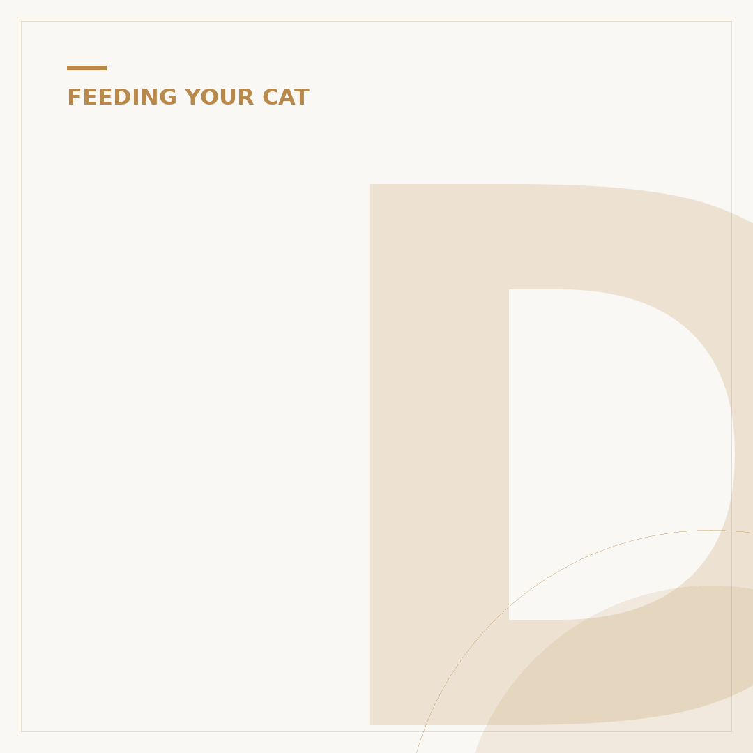 Do Cats Like Eggs?
