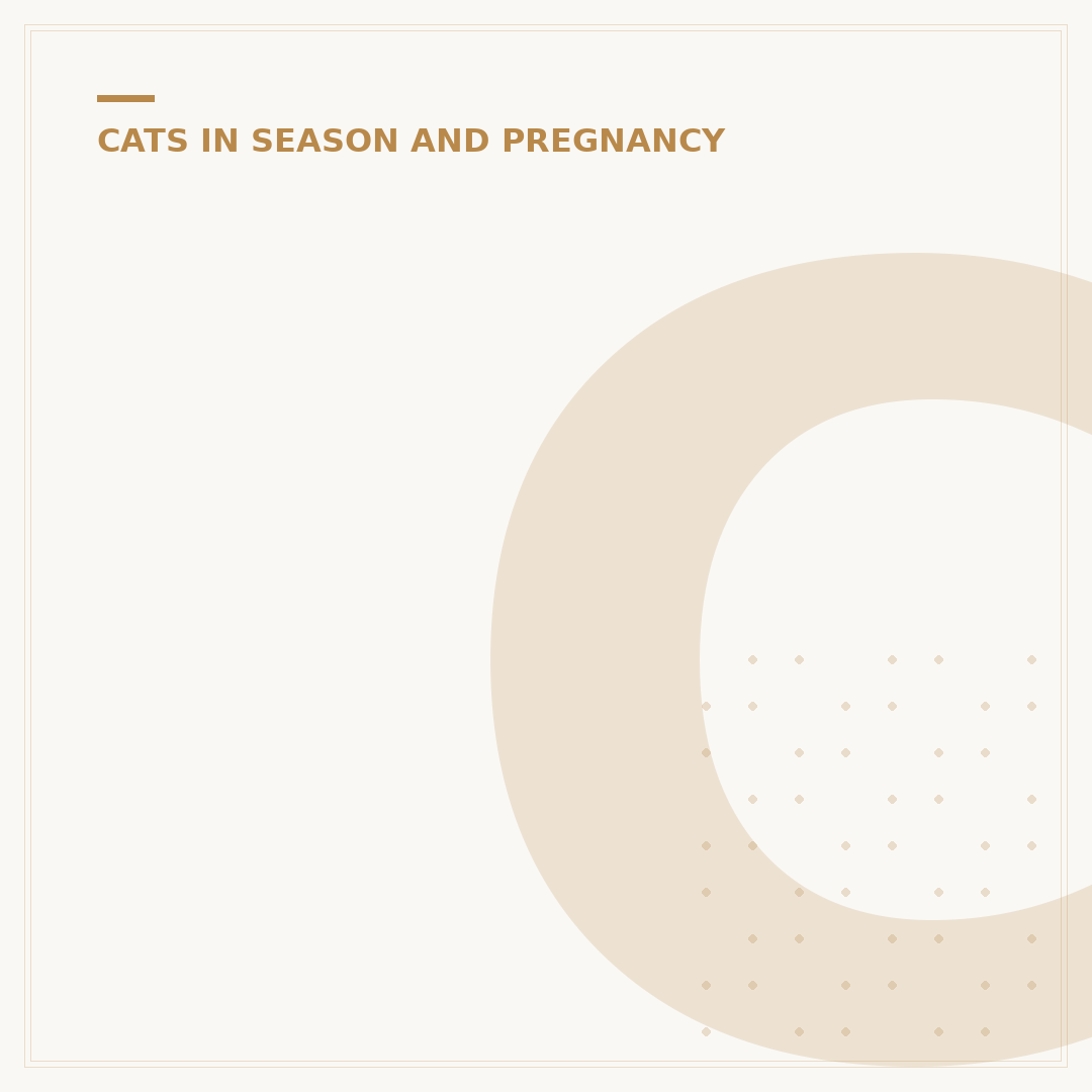Can Cats Get Pregnant While Not in Heat?