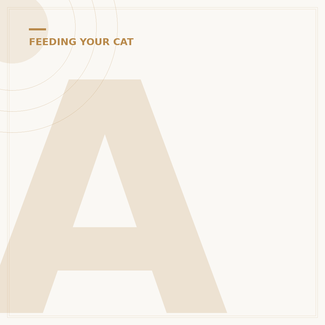 Are Cats Allowed Strawberries? What You Need To Know