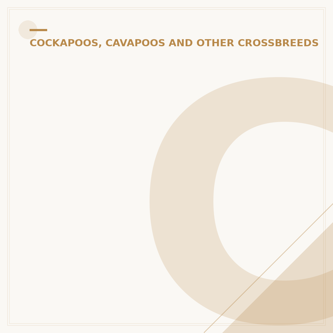 Cavapoo Behaviour Problems: Causes and Solutions