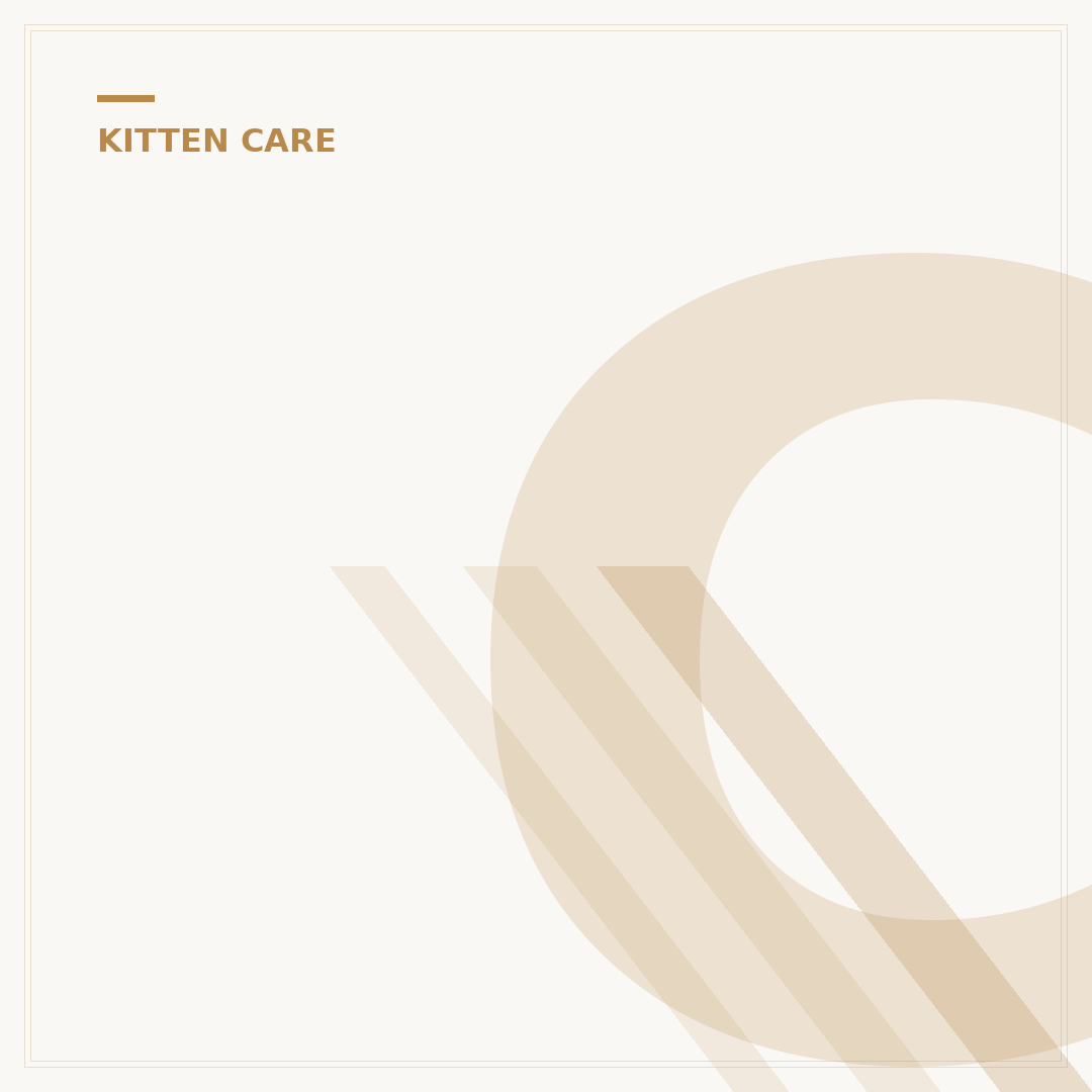 Checklist for Kittens