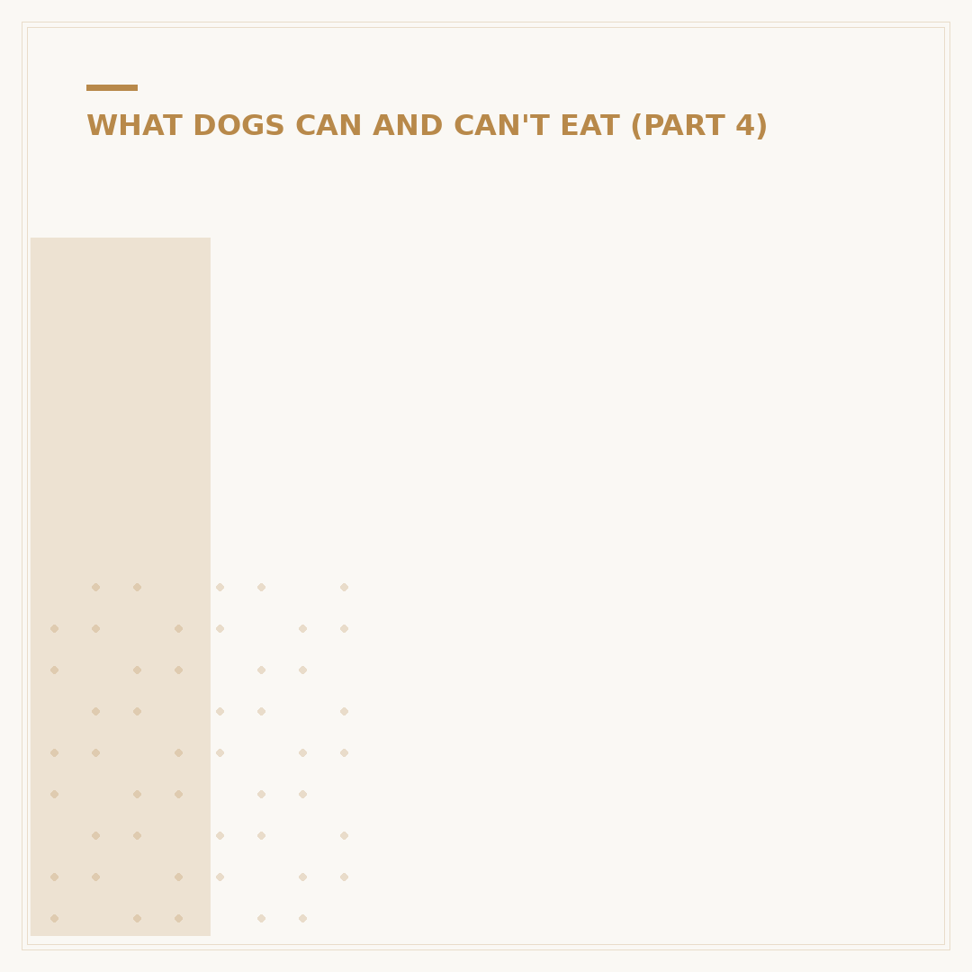 Is Chicken and Rice Good for Dogs?