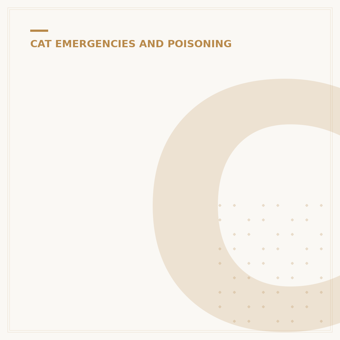Choking in Cats: What To Do If Your Cat Chokes