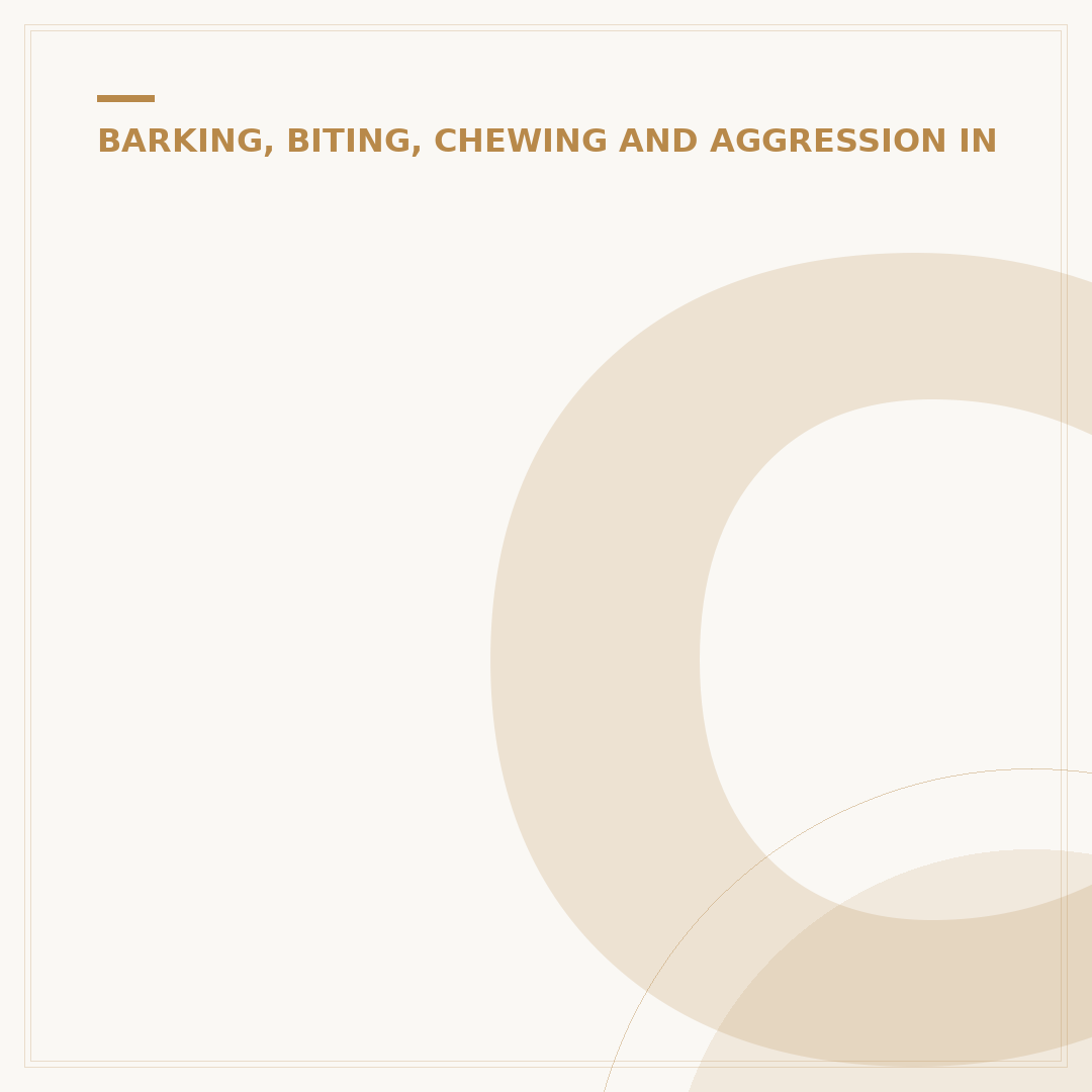Chow Dog Breed Aggression: Understanding and Managing