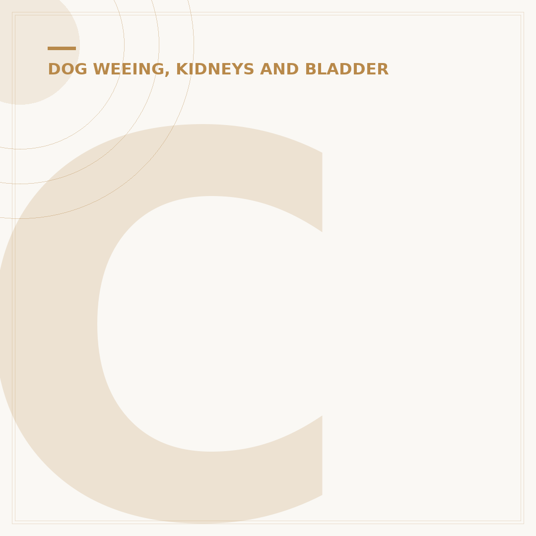 Chronic Kidney Disease in Dogs: Signs and Care