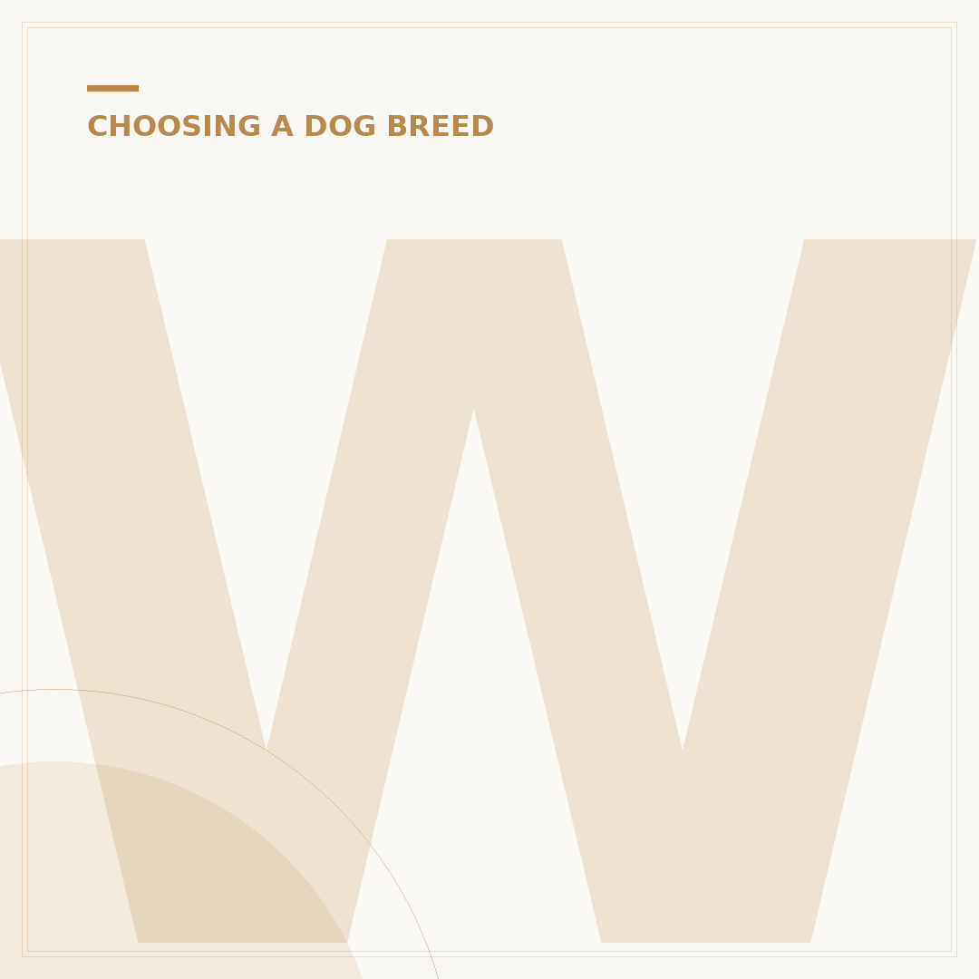 What Breed are Clarkson's Dogs? Explained