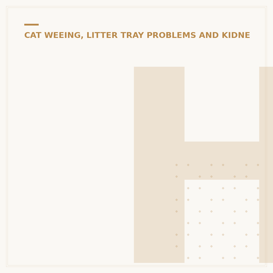 How to Clean Cat Pee From Carpet Effectively