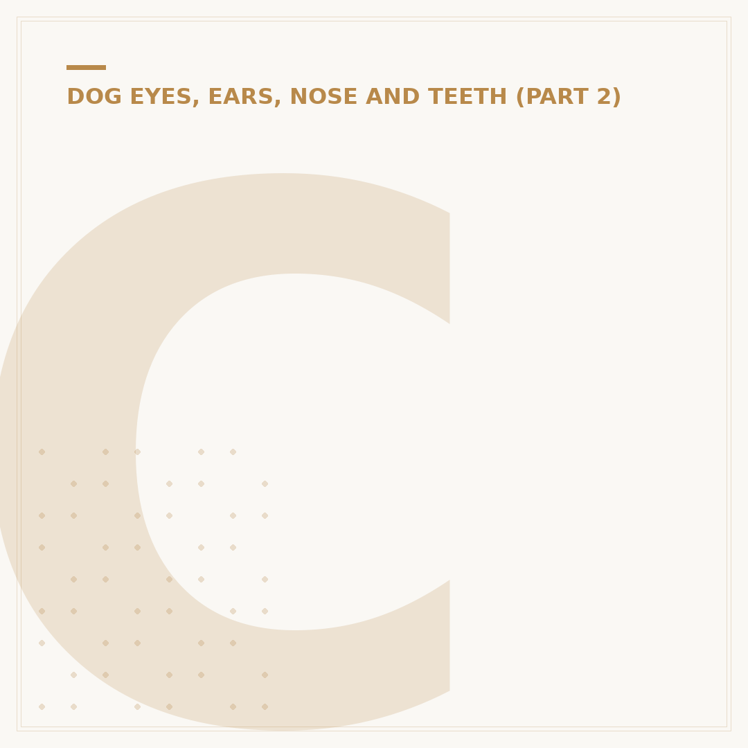 Cleanaural Ear Cleaner for Dogs: Use and Benefits
