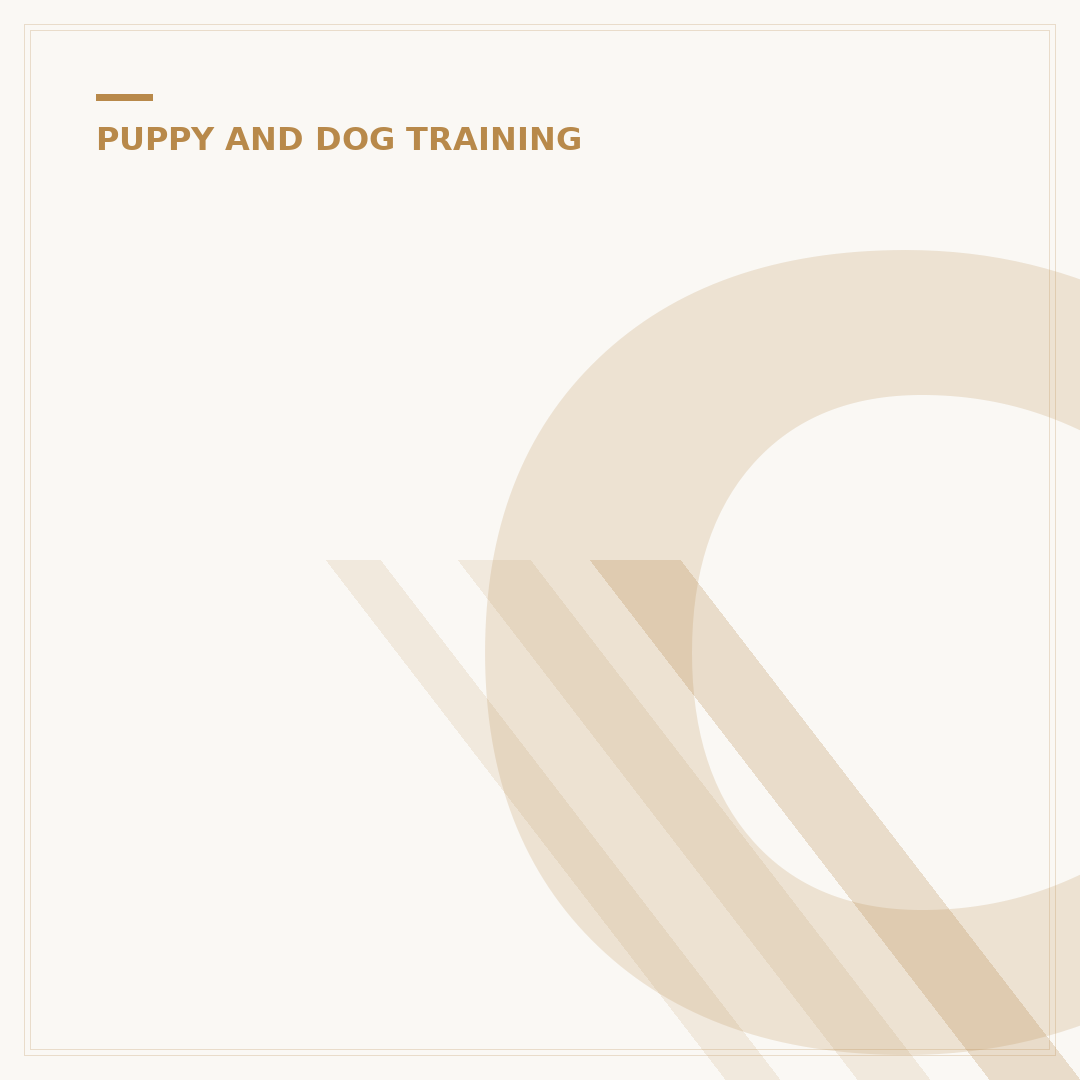 Clicker Dog Training: How To Use It Effectively