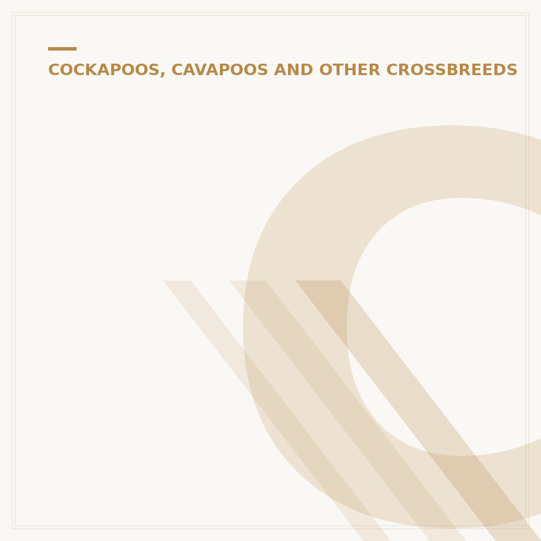 Cockapoo Health Issues: What Owners Need to Know