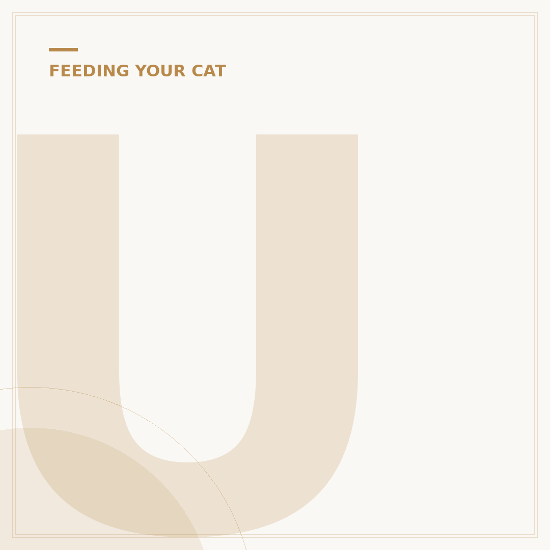 Understanding Complete Wet Cat Food for Your Pet
