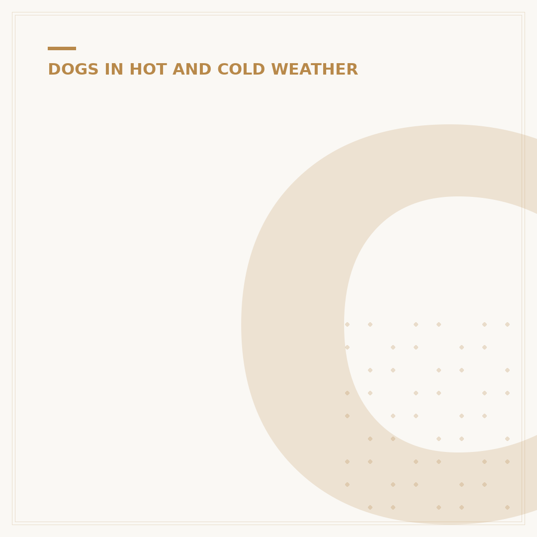 Cool Coats for Dogs: Keep Your Pet Comfortable