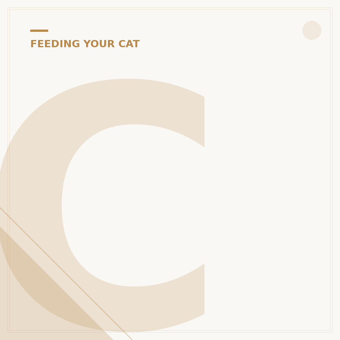 Corn Cat Litter: Benefits and How to Choose