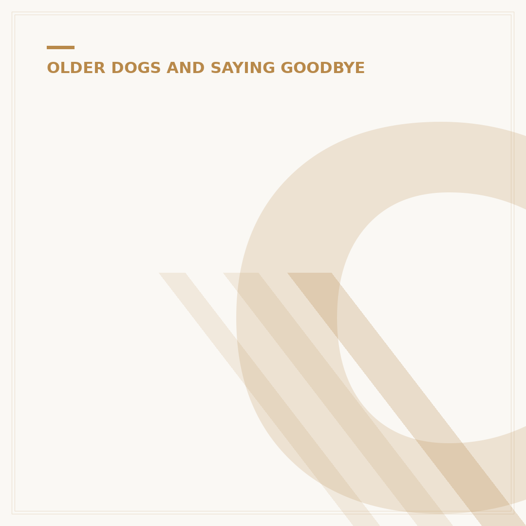 Cremation for Dogs: Understanding Your Options