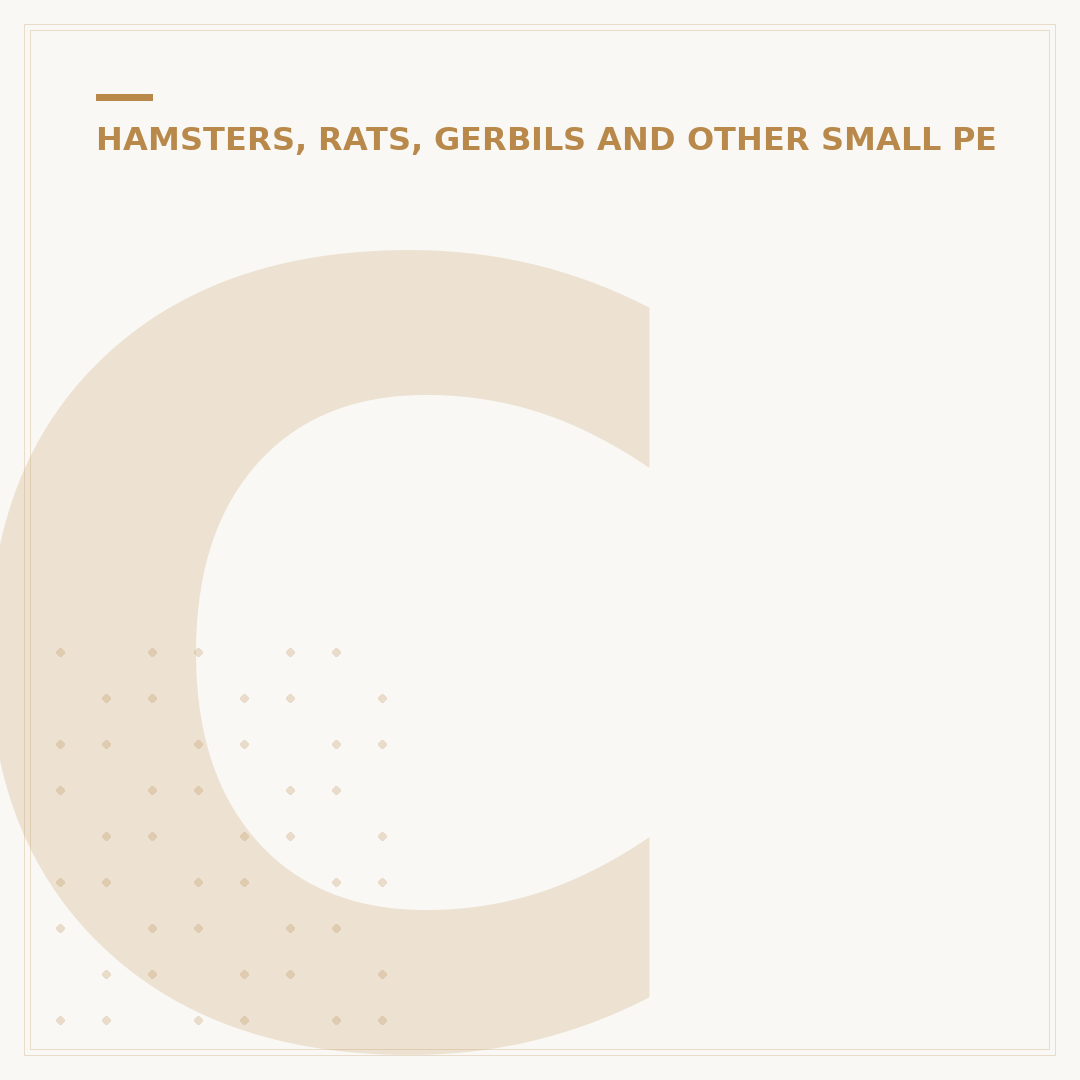 Cute Gerbils: Why These Small Rodents Charm Owners