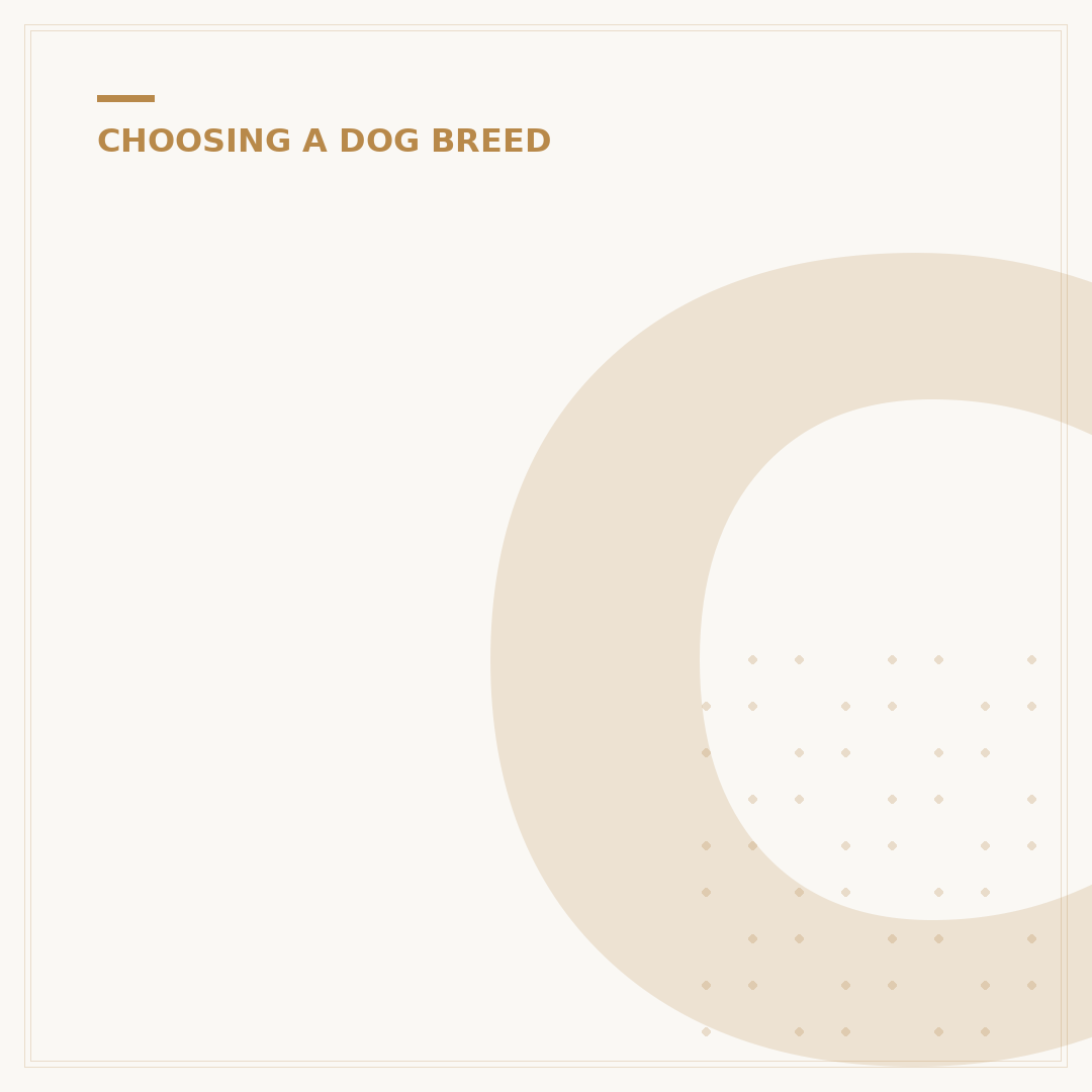 Cute Hypoallergenic Dog Breeds for Allergy Sufferers