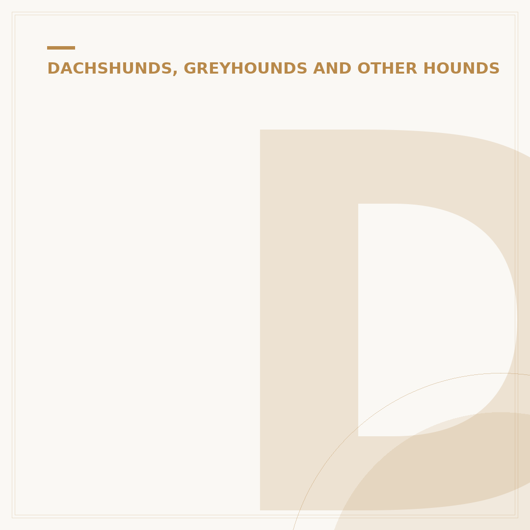 Dachshund Health Problems: Common Issues & Care