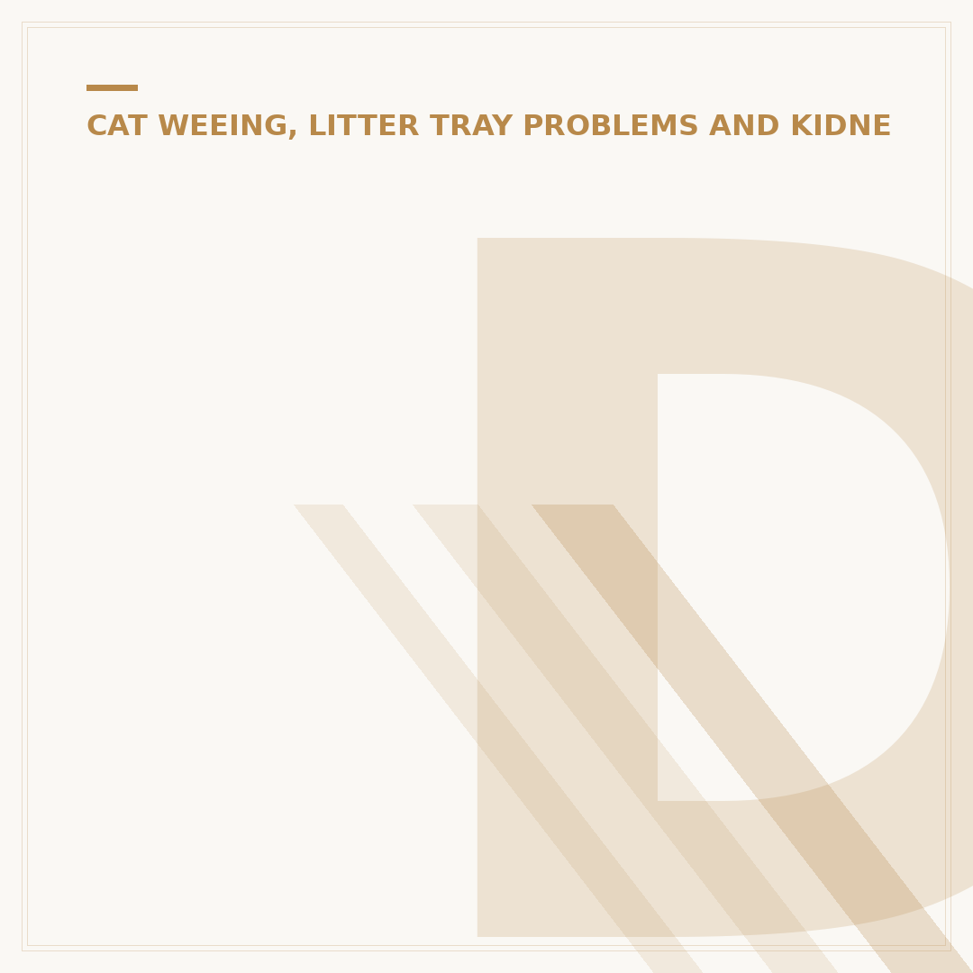 Deter Cat Peeing Carpet: Stop Accidents Now