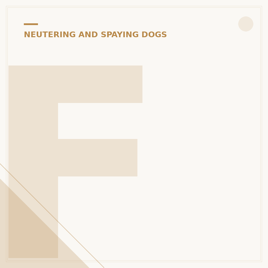 Female Dog Behavior Change After Spaying
