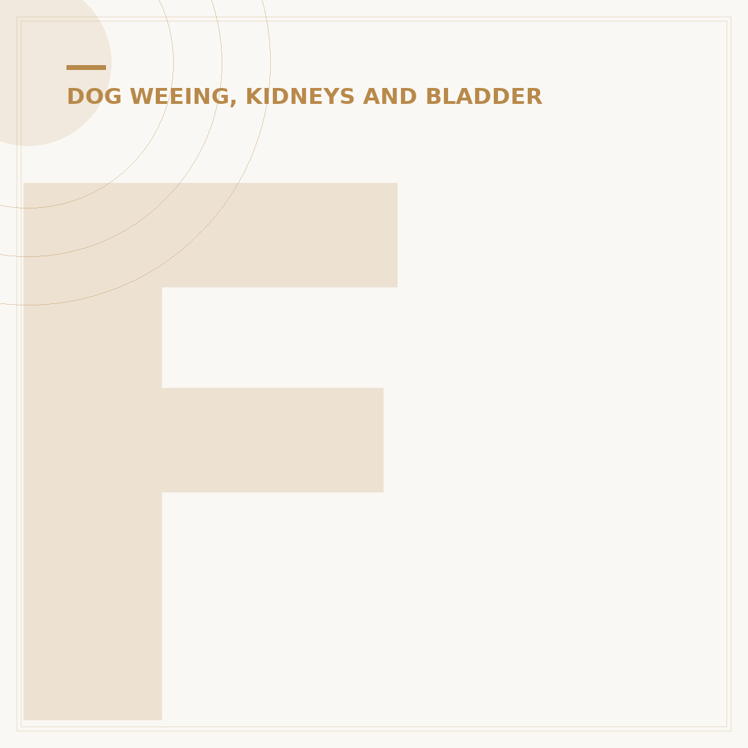 Female Dog Bladder Infection Symptoms to Watch For