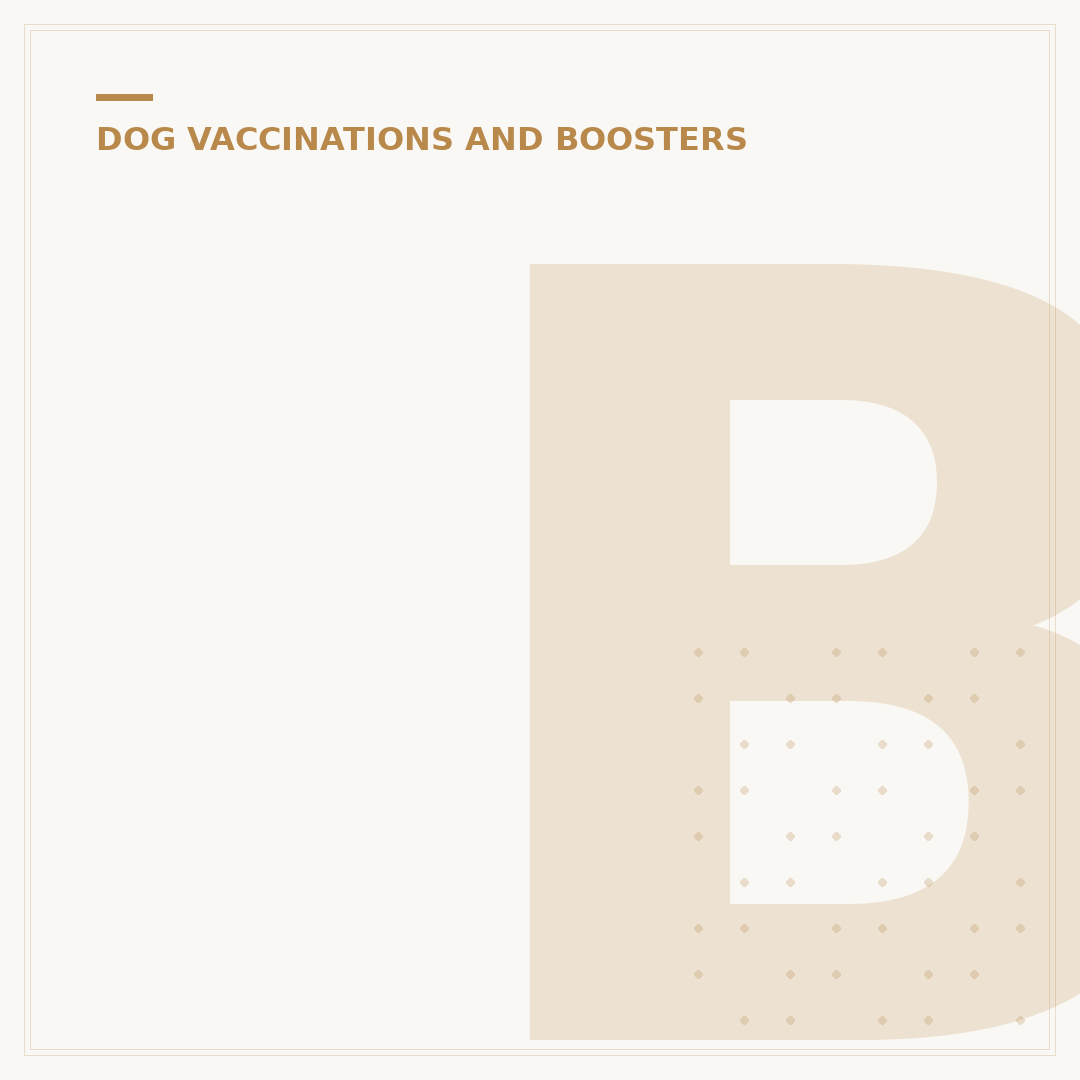 Booster Shots for Dogs: Why Your Pet Needs Them