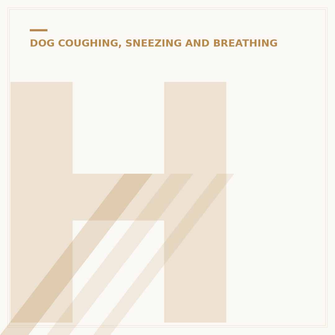 Home Remedies for Dog Coughing: What You Can Try